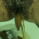 A very cute girl shits into a toilet from under ass. A short hang, then pissing over the product in the bowl. Filmed from a between the legs perspective. Vertical format video. Under a minute.